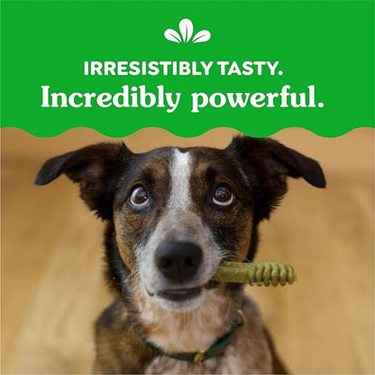 Greenies Original Regular Dental Dog Treats, (4) 18 ct Packs (72 Treats Total)