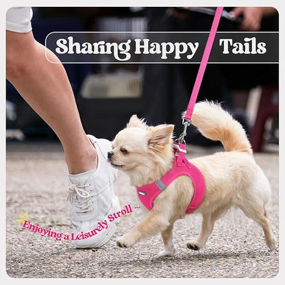 rabbitgoo Dog Harness Small Sized and Leash Set, Step in Soft Light Puppy Vest, Breathable Mesh Pet Harness, Reflective for Safe Easy Walking, Rose Red M