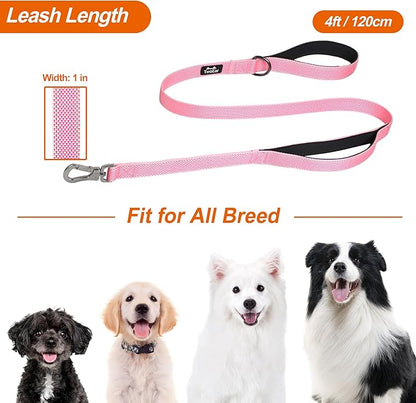 TwoEar 6FT 1IN Strong Pink Dog Leash with 2 Padded Handles, Traffic Handle Extra Control, Comfortable Soft Dual Handle, Auto Lock Hook, Reflective Walking Lead for Small Medium and Large Dogs