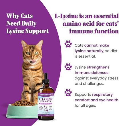Special Breed L-Lysine for Cats & Kittens – Immune, Respiratory & Eye Health Support – Liquid Cat Supplement with Astragalus, Burdock, Atractylodes, Dangshen & Vitamins A, B1, B2, B6 – 8oz (240mL)