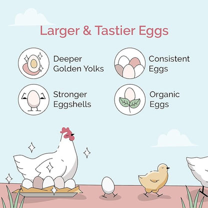 Organic Chicken Feed – Layer Pellet, Non-GMO, USA Grown, 16% Protein, Corn-Free, Soy-Free, Non-Medicated Feed for Chickens, 2 lbs Sample