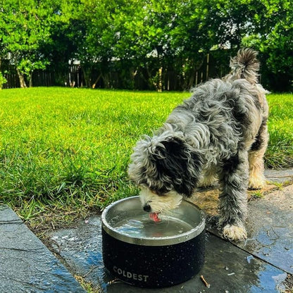 Coldest Dog Bowl - Anti Rust Metal, Non Slip, 3 Layers Insulated Stainless Steel Dog Bowls - Spill Proof & Heavy Duty - Water Bowl for Dogs, Cats, Dish Washer Safe (100 oz, Saturns Purple Glitter)