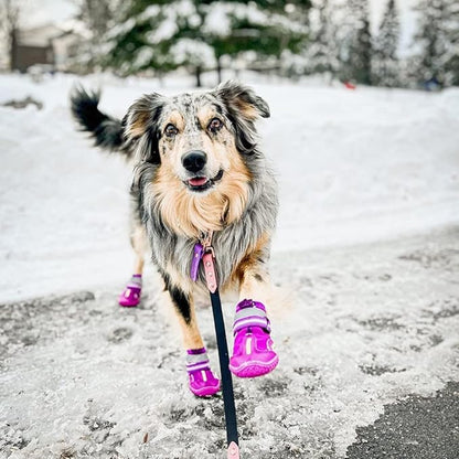 QUMY Dog Shoes for Large Dogs, Medium Dog Boots & Paw Protectors for Winter Snowy Day, Summer Hot Pavement, Waterproof in Rainy Weather, Outdoor Walking, Indoor Hardfloors Anti Slip Sole Purple Size 8