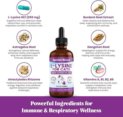 Special Breed L-Lysine for Cats & Kittens – Immune, Respiratory & Eye Health Support – Liquid Cat Supplement with Astragalus, Burdock, Atractylodes, Dangshen & Vitamins A, B1, B2, B6 – 4oz (120mL)