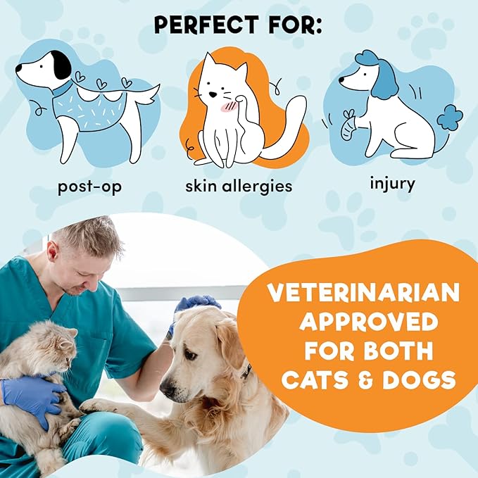 BENCMATE Inflatable Dog Cone Collar Alternative, Soft Dog Cone for Small Medium Large Dogs and Cats, Neck Recovery ECollar Donut Collar After Surgery (Small, Constellation)