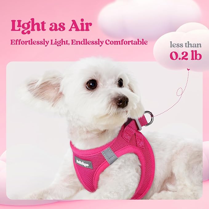 rabbitgoo Dog Harness Small Medium Sized and Leash Set, Step in Soft Light Puppy Vest, Breathable Mesh Pet Harness, Reflective for Safe Easy Walking, Rosa Red XL