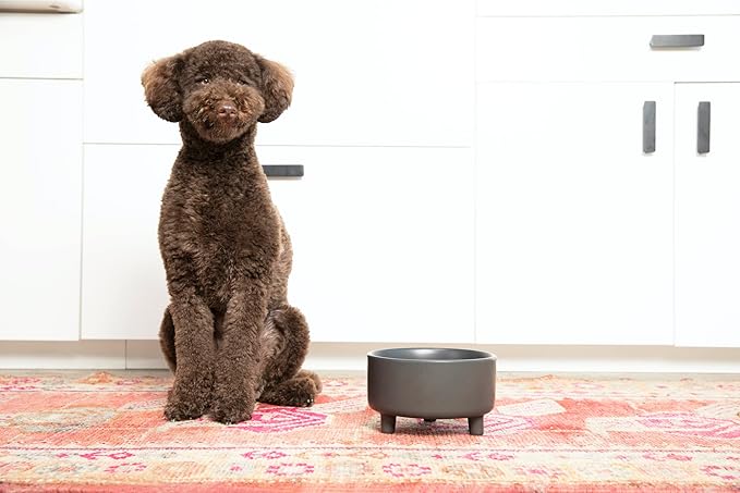 Waggo Uplift Ceramic Dog Bowl for Small Medium and Large Breeds - Heavyweight and Durable Pet Food and Water Dish Crock, Dishwasher Safe, Modern, Elevated Feeder (White, Small)