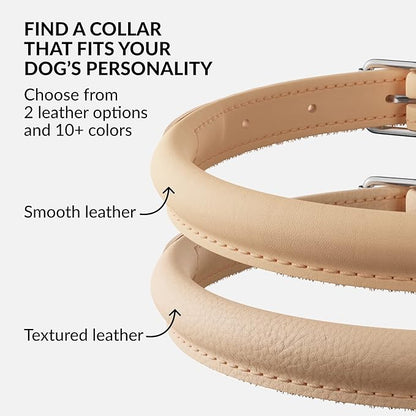 CollarDirect Rolled Leather Dog Collar, Soft Padded Round Puppy Collar, Handmade Genuine Leather Collar Dog Small Large Cat Collars 13 Colors (8-11 Inch, Beige Smooth)