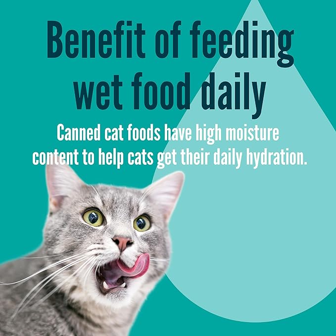 A Strong Heart Canned Wet Cat Food, Chicken Dinner Paté - 3 oz Cans (Pack of 24), Made in The USA with Real Chicken