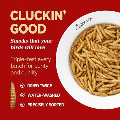 Dried Black Soldier Fly Larvae, Non-GMO, Natural Chicken Treats & High-Protein Poultry Snacks for Backyard Chickens, Laying Hens & Ducks, 10 lb Box