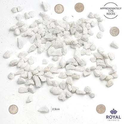 Royal Imports 5LBS River Pebbles Decorative Ornamental Rocks, Garden Landscaping Stones, Gravel Filler for Plants, Vases, Succulents, Home Decor, Aquariums, Crafting, Animal Habitat - Mini White
