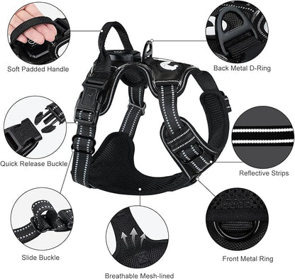 Taglory Light Up Dog Harness, Rechargeable No Pull Dog Vest with 3 Lightning Modes, Reflective Dog Harness with 2 Leash Clips & 4 Adjustable Slide Strips for Large Dogs, Black-Purple, L