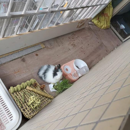 Hamiledyi Rabbit Seagrass Mat Bunny Chew Toys for Teeth Hanging Activity Mat Rabbit Enrichment Activity Mat Small Animal Toys for Hamster Guinea Pigs Gerbil Birds