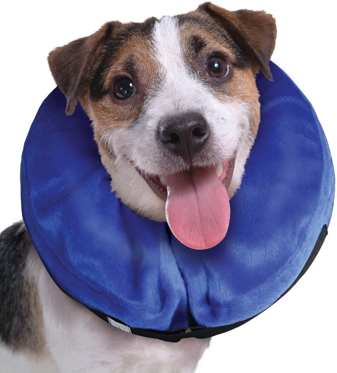 Inflatable Dog Collar
