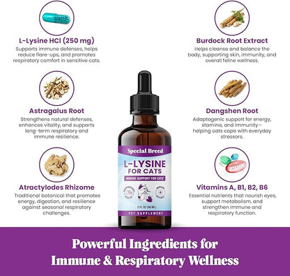 Special Breed L-Lysine for Cats & Kittens – Immune, Respiratory & Eye Health Support – Liquid Cat Supplement with Astragalus, Burdock, Atractylodes, Dangshen & Vitamins A, B1, B2, B6 – 2oz (60mL)