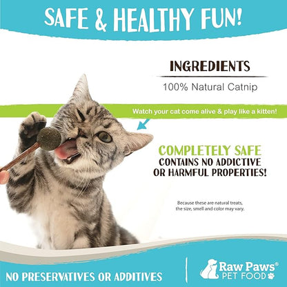 Raw Paws Catnip & Silvervine Lollipops Interactive Cat Toy (6 Pack) - Silvervine Sticks for Cats - Catnip Ball Toy - Fresh Cat Nip - Silver Vine Dental Sticks
