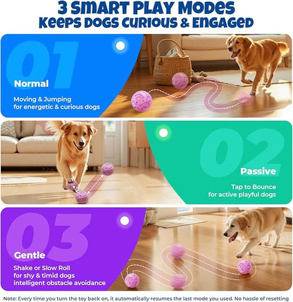 Pink Auto-Rolling Dog Ball – Rechargeable Interactive Toy for Small, Medium & Large Dogs