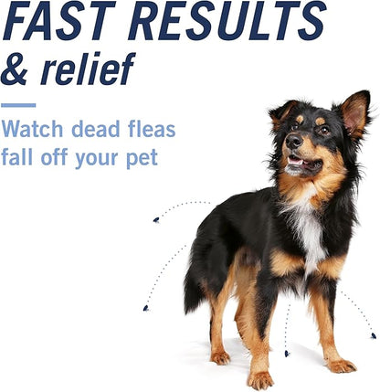 PetArmor CAPACTION (nitenpyram) Oral Flea Treatment for Dogs, Fast Acting Tablets Start Killing Fleas in 30 Minutes, Dogs Over 25 lbs, 6 Doses
