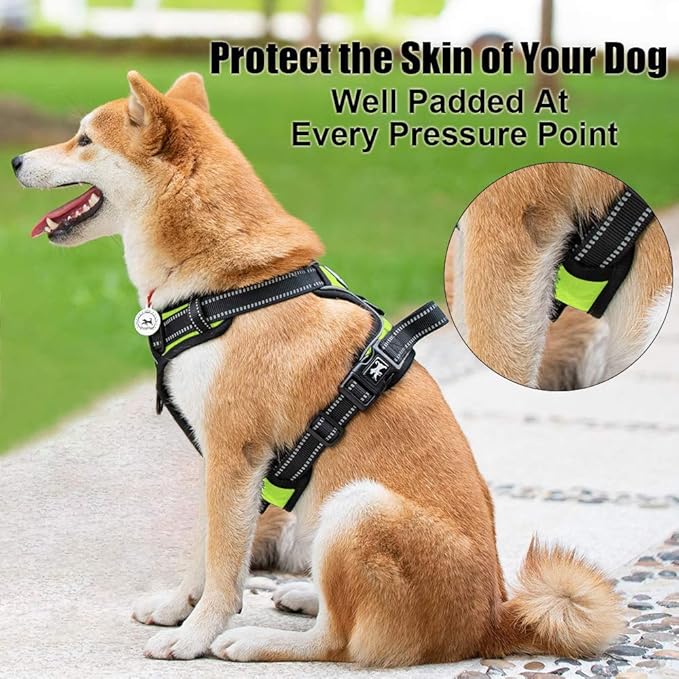 PoyPet No Pull Dog Harness, Reflective Comfortable Vest Harness with Front & Back 2 Leash Attachments and Easy Control Handle Adjustable Soft Padded Pet Vest for Small to Large Dogs (Green,L)