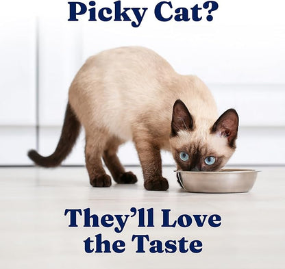 Solid Gold Tropical Blendz Salmon Pate in Coconut Oil - Nutrient-Rich Wet Cat Food for All Life Stages, 16 Pack