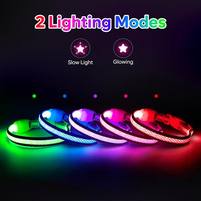 Flashseen LED Cat Collar,Light Up Dog Collar Rechargeable, Dog Lights for Night Walking, Comfortable Soft Mesh Pet Collar Adjustable for Cats Puppy and Small Dogs(Blue, XS)