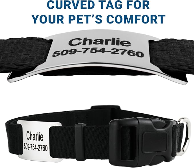 GoTags Personalized Dog Collar with Nameplate, Adjustable Dog Collar with Custom Engraved Slide On Pet ID Tag in Stainless Steel, Silent, No Noise Dog Tag (Light Gray, Medium)