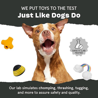 Barkbox Betty Bigfoot Dog Toy for Medium to Large Aggressive Chewers, Durable with Hidden Surprise Toy Inside for Extended Playtime