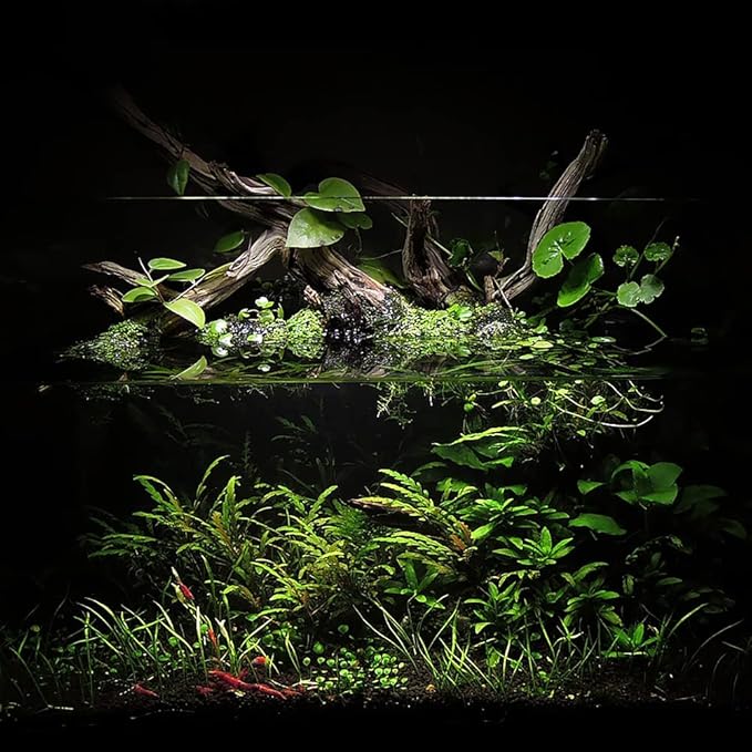 Ultum Nature Systems Controsoil - Freshwater Aqua Soil Substrate for Fish, Shrimp, Live Plant Propagation and Aquascaping - 6.8pH Low Ammonia, Volcanic Ash - Black, Extra Fine (1 Liter | 2LB)
