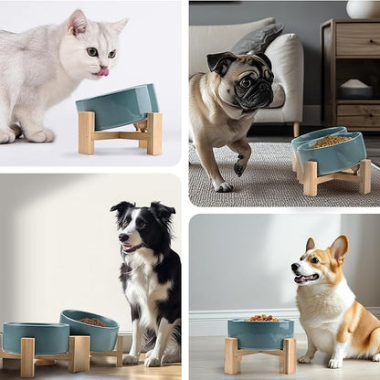 SPUNKYJUNKY 15° Slanted Ceramic Dog and Cat Bowl with Wooden Stand, Tilted Bulldog Food and Water Bowl No Slip Non-Spill for Cats Medium Dogs Big Face Pets 13.5 OZ (1.7 Cups, Light Green × 2)
