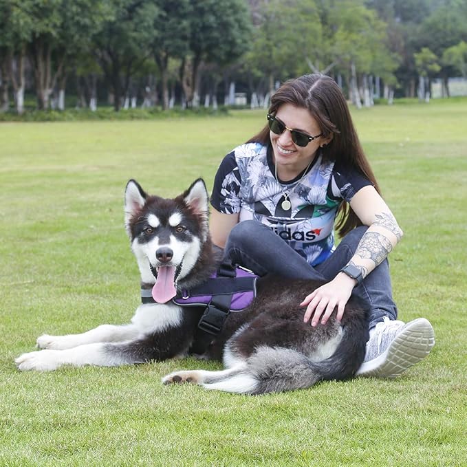Bolux Dog Harness, No-Pull Reflective Dog Vest, Breathable Adjustable Pet Harness with Handle for Outdoor Walking - No More Pulling, Tugging or Choking (Purple, L)