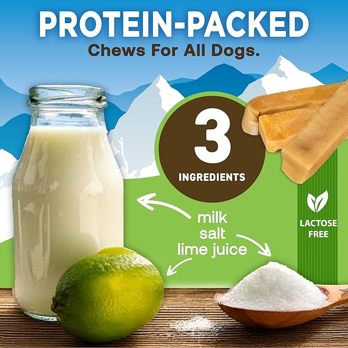 EcoKind Premium Gold Yak Cheese Himalayan Dog Chews, Dog Treats Large Breed, All Natural, High Protein, for Aggressive Chewers, Large - 10 Chews
