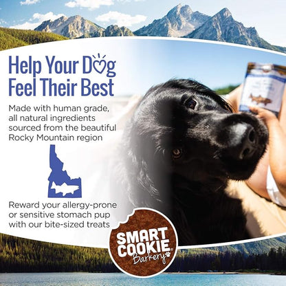 Smart Cookie All Natural Dog Treats - Trout & Apple - Training Treats for Dogs with Allergies, Sensitive Stomachs - Soft Dog Treats, Grain Free, Chewy, Human-Grade, Made in USA - 5oz, Pack of 3