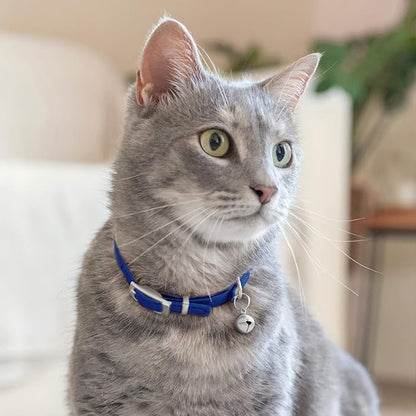 CollarDirect Leather Cat Collar, Kitten Collar with Removable Bell Black Blue Red Orange Lime Green (Neck Fit 8"-11", Navy Blue)