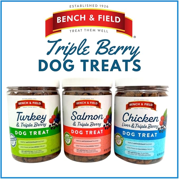 Bench & Field Holistic Natural Salmon & Triple Berry Dog Treats | Crunchy Bone-Shaped Bites | Antioxidant Blend, 10-Ounce Bottle