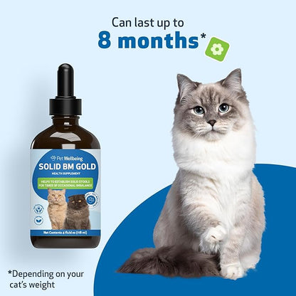 Pet Wellbeing BM Tone-Up Gold for Dogs & Cats - Supports Healthy Digestive Function, Solid Stools, Normal Bowel Movements, Bayberry - Veterinarian-Formulated Herbal Supplement 4 oz (118 ml)