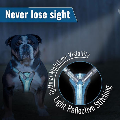 No-Pull Dog Harness with Handle - Escape Proof, Anti-Pulling, Grip Control, Multi-Angle Reflective for Safe Walks & Training, Easy On & Off, Metal Buckle–Pet Harness, Medium/Large Dogs- N H4- Blue