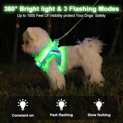 Light Up Dog Harness,Rechargeable LED Dog Harness for Small Medium Large Dogs,Reflective Lighted Safety Vest for Night Walking & Camping,Lightweight & Adjustable,Light Green,M