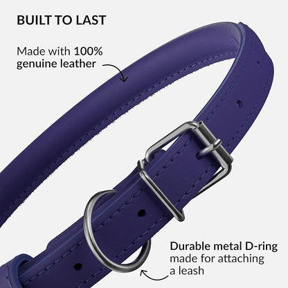 CollarDirect Rolled Leather Dog Collar, Soft Padded Round Puppy Collar, Handmade Genuine Leather Collar Dog Small Large Cat Collars 13 Colors (6 Inch, Purple Smooth)