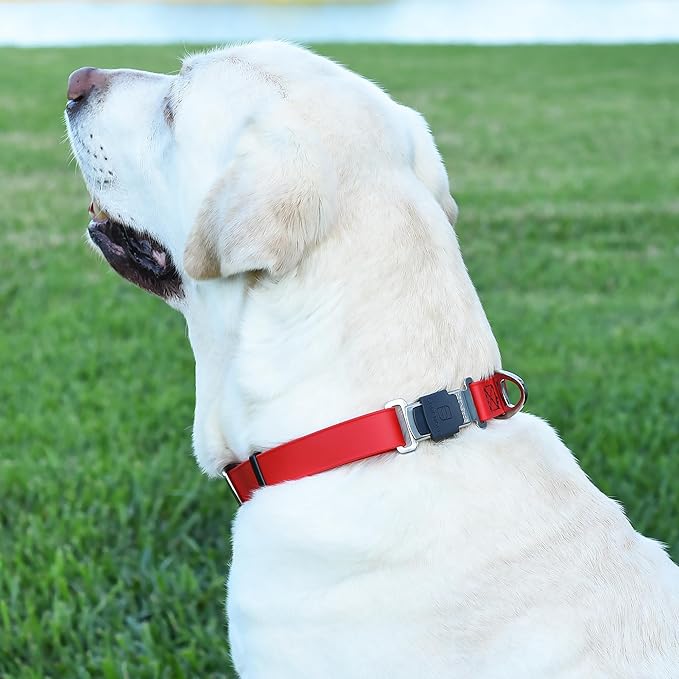Dogline Biothane Waterproof Dog Collar with Herm Sprenger Black Stainless Steel Quick Release Buckle – Heavy Duty Tactical Durable Collar for Dogs – Comfortable and Safe Pet Collar W 3/4" L 12-19" Red