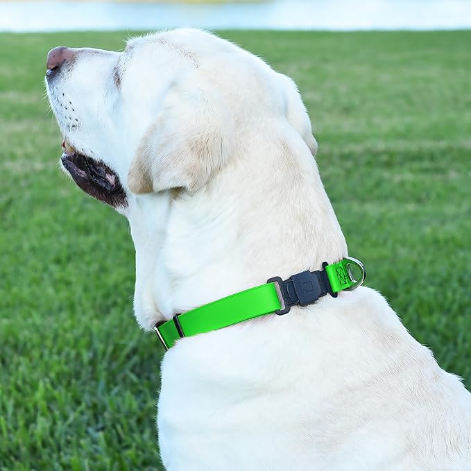 Dogline Biothane Waterproof Dog Collar with Herm Sprenger Black Stainless Steel Quick Release Buckle – Heavy Duty Tactical Durable Collar for Dogs – Comfortable and Safe Pet Collar W 1" L 15-25" Green