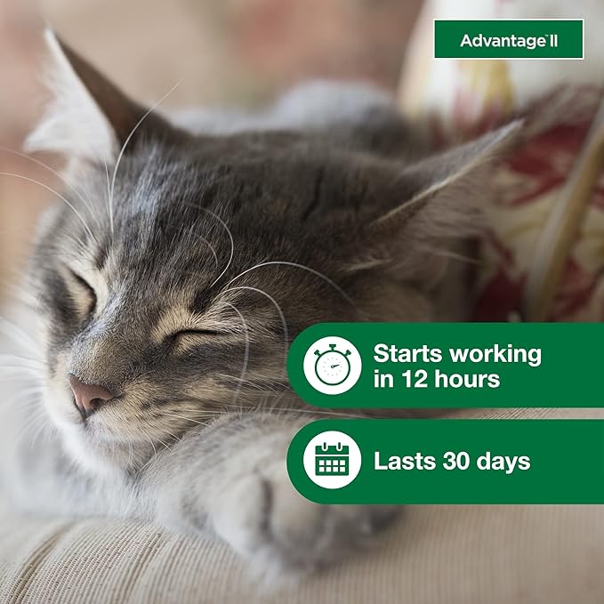 Advantage II Small Cat Vet-Recommended Flea Treatment & Prevention | Cats 5-9 lbs. | 12-Month Supply