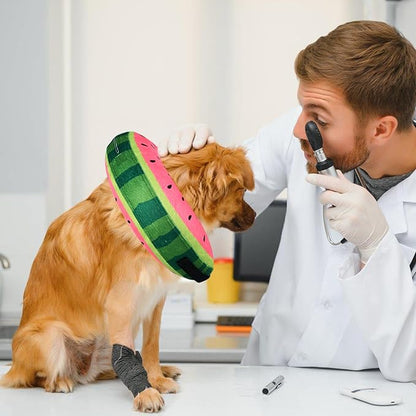 Katoggy Inflatable Dog Cone Collar for Dogs After Surgery, Soft Adjustable Blow up Donut E-Collar for Small Medium Large Dogs and Cats
