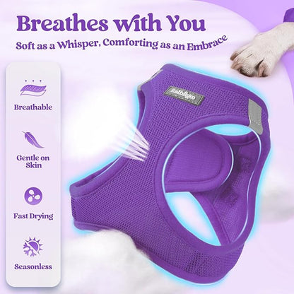 rabbitgoo Dog Harness Small Sized and Leash Set, Step in Soft Light Puppy Vest, Breathable Mesh Pet Harness, Reflective for Safe Outdoor Walking, Purple M