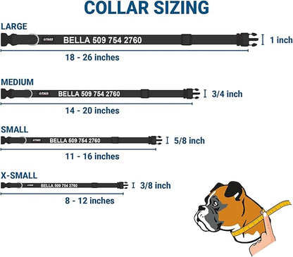 GoTags Reflective Personalized Dog Collar with Nameplate, Adjustable Dog Collar with Custom Engraved Steel Slide On Pet ID Tag, Silent, No Noise Dog Tag (Hunter Green, Medium)