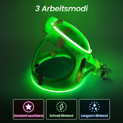 Pceotllar LED Dog Harness - Rechargeable, Flashing Light, No Pull, Reflective - Small/Medium, (Green S)