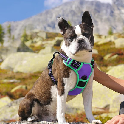Eagloo Dog Harness for Large Dogs, No Pull Service Vest with Reflective Strips and Control Handle, Adjustable and Comfortable for Walking, No Choke Harness with 2 Metal Rings, Purple & Green, M