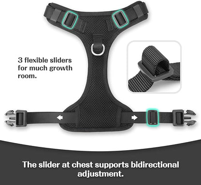 No Pull Dog Harness for Small Medium Large Dogs - Adjustable Two-Layer Mesh Dog Vest with Dual Clip, Escape Proof, Quick Release, Lightweight Breathable Mesh for Walking Hiking (Black,XL)