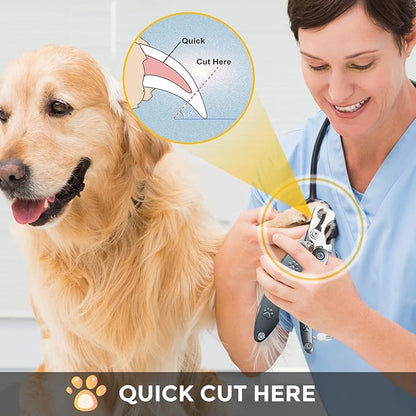 Best Dog Nail Trimmers for Anxiety Sensitive Dogs, Quiet Sharpest Smoothest Nail Clippers for Large Dog Medium Small, Professional Stainless Steel with Nail File & Comb, Left-Handed Friendly