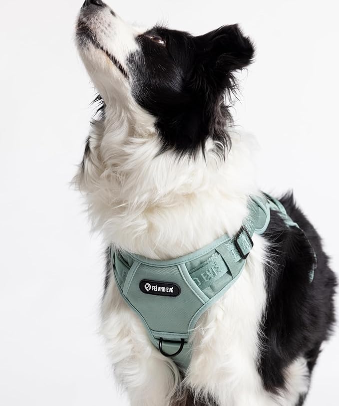2025 New Edition, Fei & Eve MagEase Dog Harness - 3-Second Magnetic Buckles | 3-Point No-Pull Control | Heavy-Duty 900D Nylon | Dual Safety Handles | Breathable Mesh | Adjustable Fit | X-Large, Green