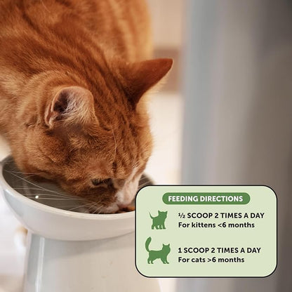 Digestive Probiotic Powder Supplement for Cats - Digestive Support + Gut Health, Probiotic for Cats, Cat Constipation Relief, Bowel Support, Immunity & Overall Health - 120 Scoops